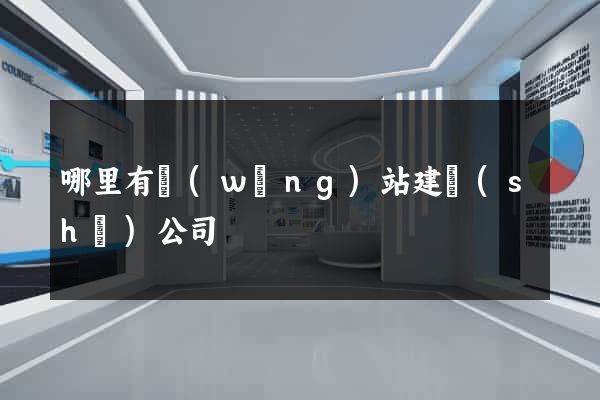 哪里有網(wǎng)站建設(shè)公司