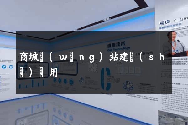 商城網(wǎng)站建設(shè)費用