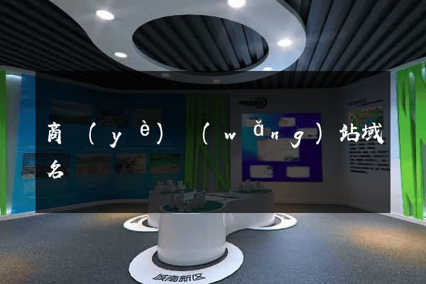 商業(yè)網(wǎng)站域名