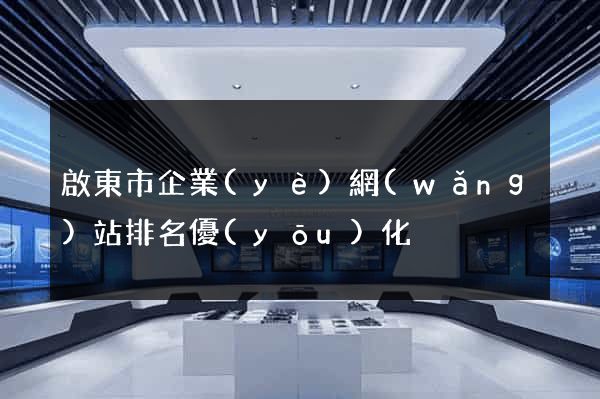 啟東市企業(yè)網(wǎng)站排名優(yōu)化