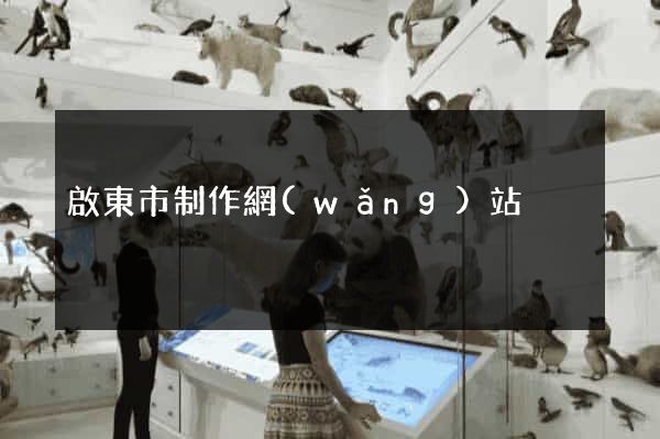 啟東市制作網(wǎng)站