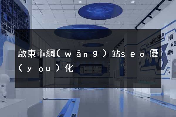 啟東市網(wǎng)站seo優(yōu)化