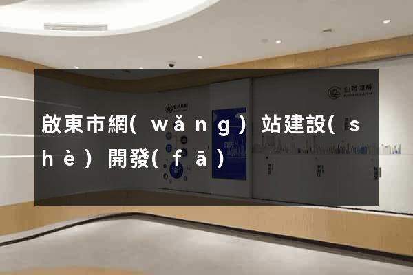 啟東市網(wǎng)站建設(shè)開發(fā)