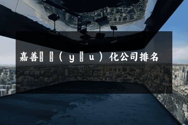 嘉善縣優(yōu)化公司排名