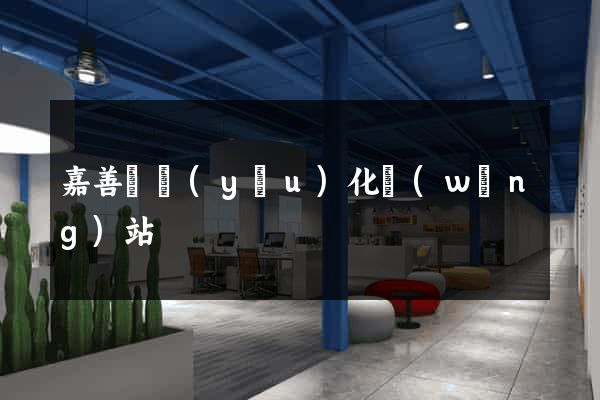 嘉善縣優(yōu)化網(wǎng)站