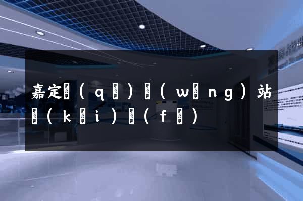 嘉定區(qū)網(wǎng)站開(kāi)發(fā)