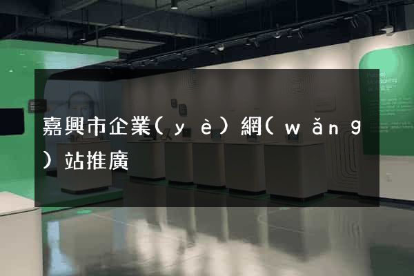 嘉興市企業(yè)網(wǎng)站推廣