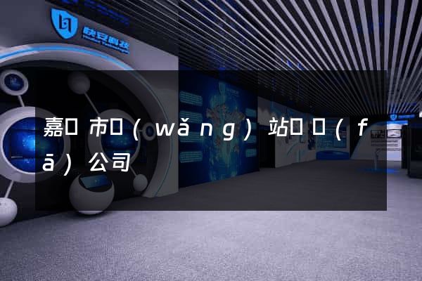 嘉興市網(wǎng)站開發(fā)公司