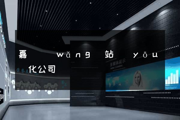 嘉興網(wǎng)站優(yōu)化公司