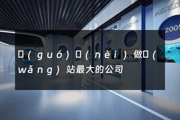 國(guó)內(nèi)做網(wǎng)站最大的公司