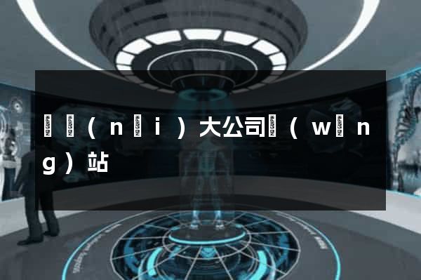 國內(nèi)大公司網(wǎng)站