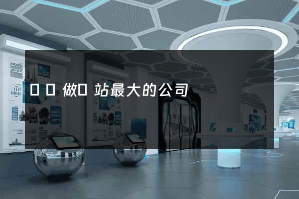 國內做網站最大的公司