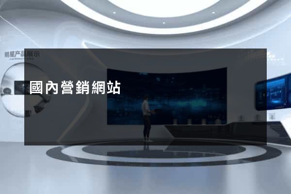 國內營銷網站