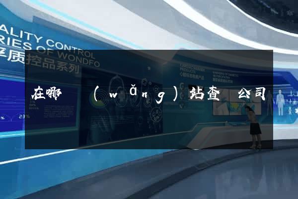 在哪個網(wǎng)站查詢公司