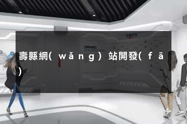 壽縣網(wǎng)站開發(fā)