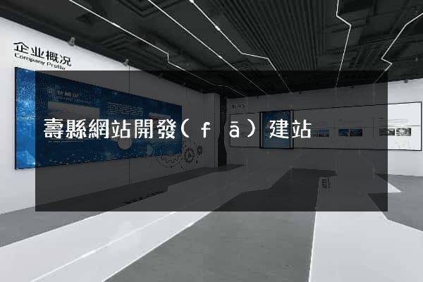 壽縣網站開發(fā)建站