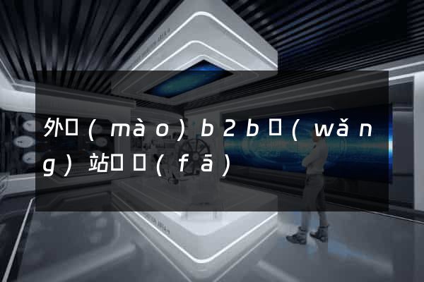 外貿(mào)b2b網(wǎng)站開發(fā)