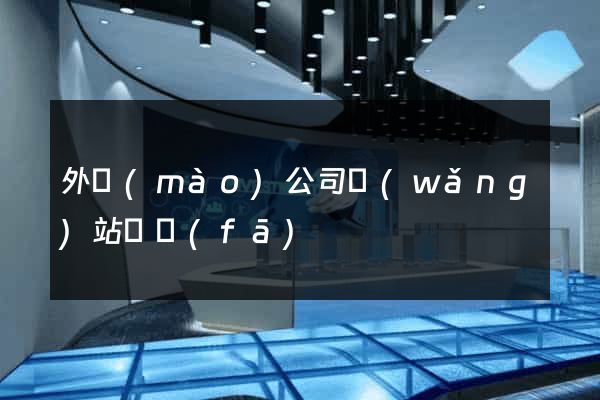 外貿(mào)公司網(wǎng)站開發(fā)