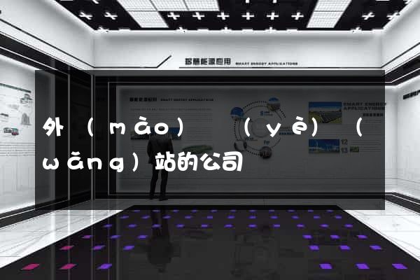 外貿(mào)專業(yè)網(wǎng)站的公司