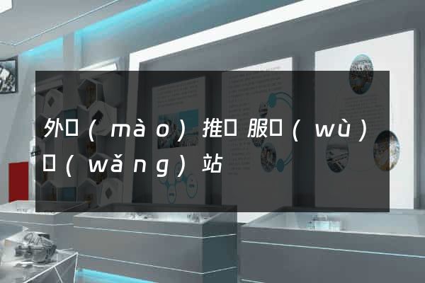 外貿(mào)推廣服務(wù)網(wǎng)站