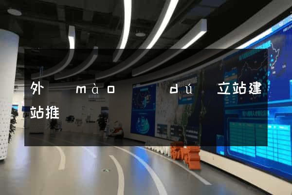 外貿(mào)獨(dú)立站建站推廣