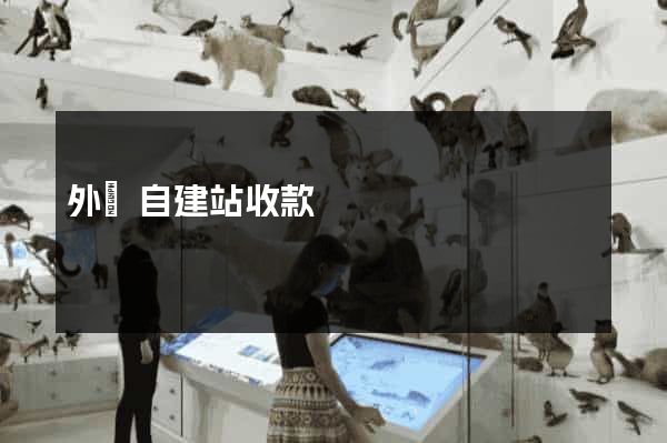 外貿自建站收款