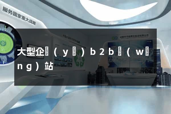 大型企業(yè)b2b網(wǎng)站