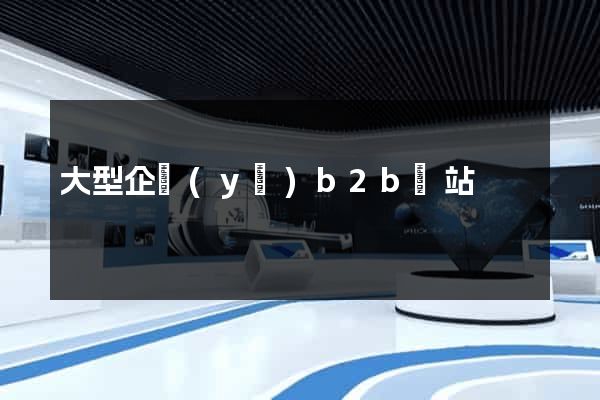大型企業(yè)b2b網站