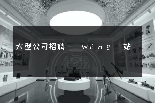 大型公司招聘網(wǎng)站