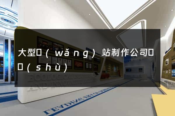 大型網(wǎng)站制作公司飛數(shù)