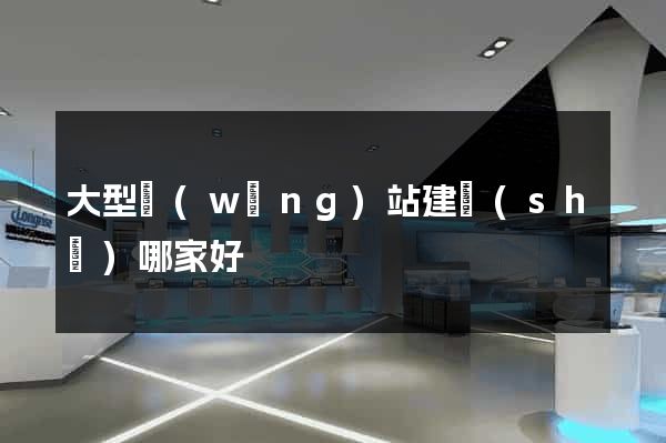 大型網(wǎng)站建設(shè)哪家好