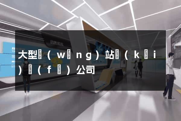 大型網(wǎng)站開(kāi)發(fā)公司