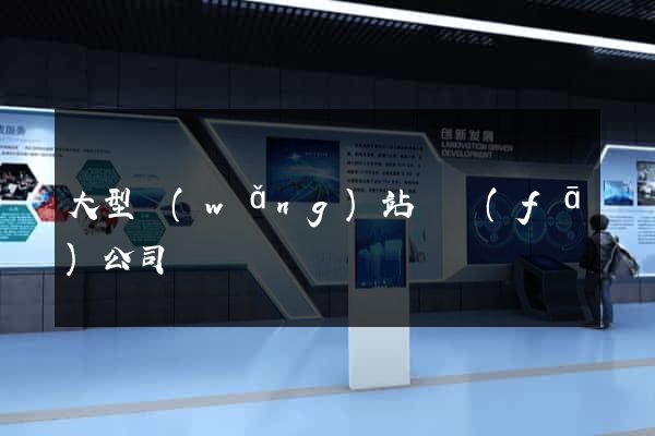 大型網(wǎng)站開發(fā)公司
