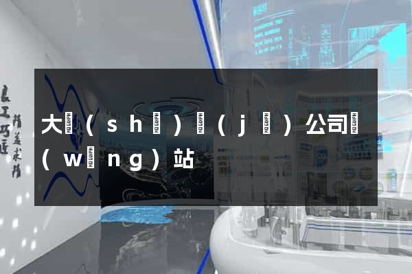大數(shù)據(jù)公司網(wǎng)站