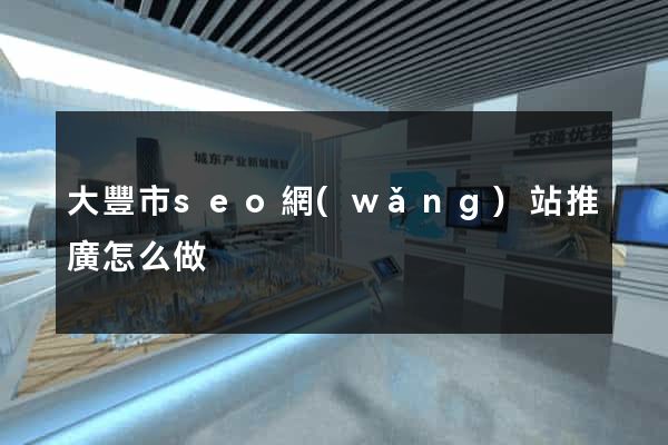 大豐市seo網(wǎng)站推廣怎么做
