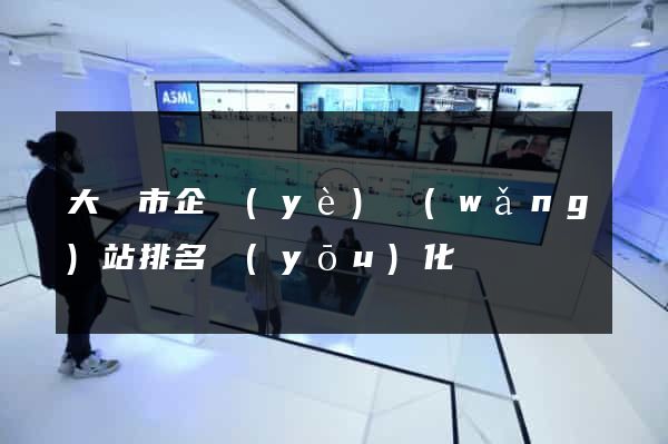 大豐市企業(yè)網(wǎng)站排名優(yōu)化