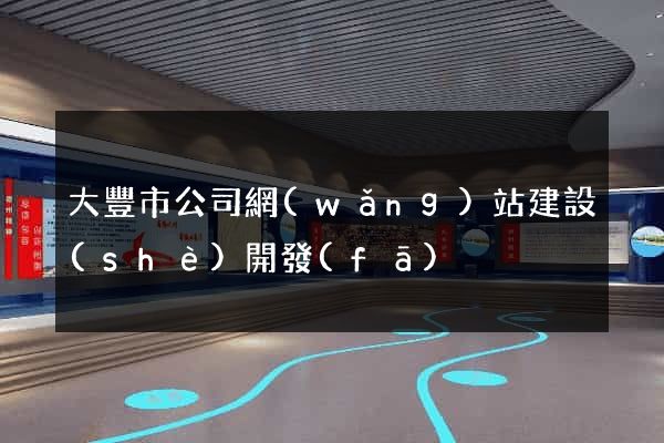 大豐市公司網(wǎng)站建設(shè)開發(fā)
