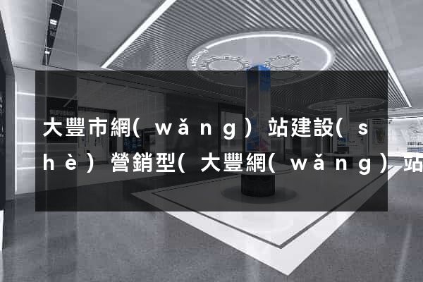 大豐市網(wǎng)站建設(shè)營銷型(大豐網(wǎng)站建設(shè)公司)