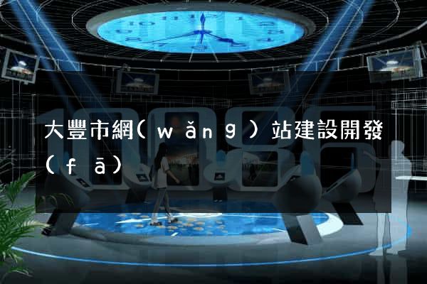 大豐市網(wǎng)站建設開發(fā)