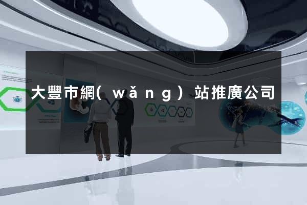 大豐市網(wǎng)站推廣公司