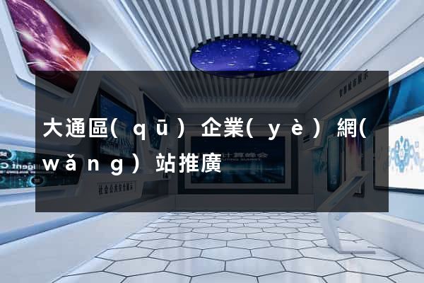 大通區(qū)企業(yè)網(wǎng)站推廣