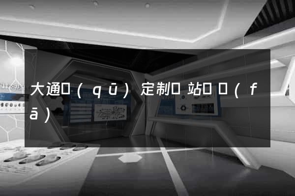 大通區(qū)定制網站開發(fā)