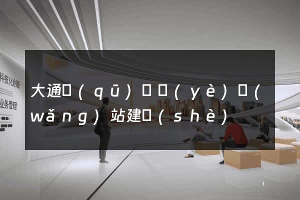 大通區(qū)專業(yè)網(wǎng)站建設(shè)