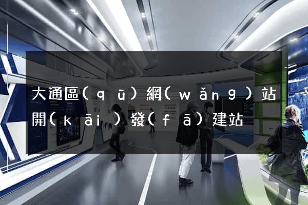 大通區(qū)網(wǎng)站開(kāi)發(fā)建站