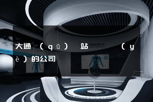 大通區(qū)網站設計專業(yè)的公司