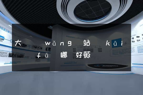 大連網(wǎng)站開(kāi)發(fā)哪兒好薇