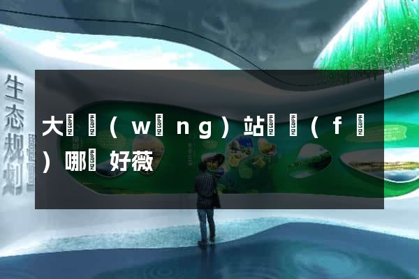 大連網(wǎng)站開發(fā)哪兒好薇
