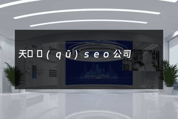 天寧區(qū)seo公司