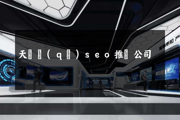 天寧區(qū)seo推廣公司