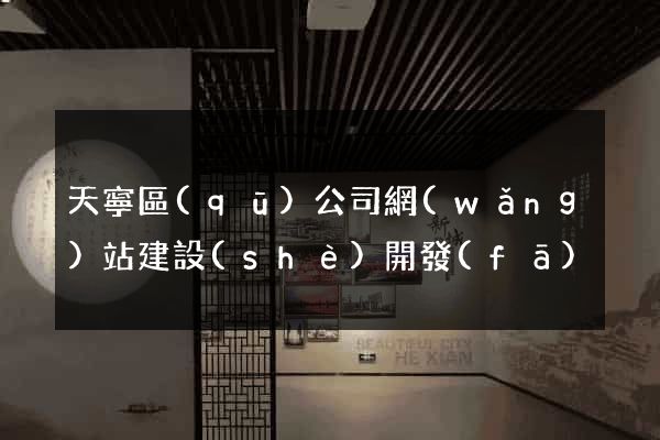 天寧區(qū)公司網(wǎng)站建設(shè)開發(fā)